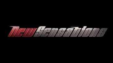 New Sensations